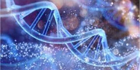 Генетическое тестирование