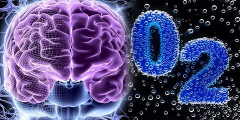 Окситерра в Томске